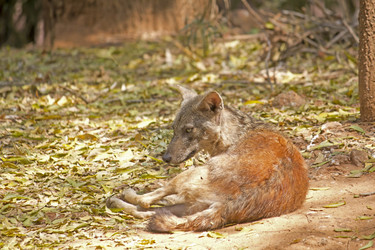 Similar image 10510211