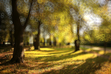 Similar image 10510217