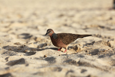 Similar image 10510218