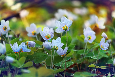 Similar image 10510220