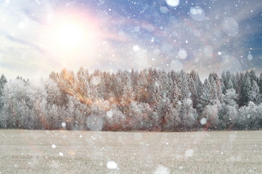 Similar image 10510225