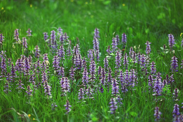 Similar image 10510226