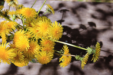 Similar image 10510232