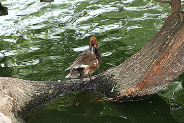 Similar image 10510239