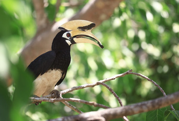 Similar image 10510241