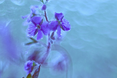 Similar image 10510244