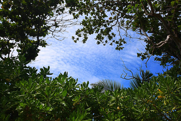 Similar image 10510247