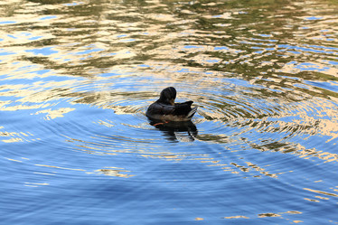 Similar image 10510249