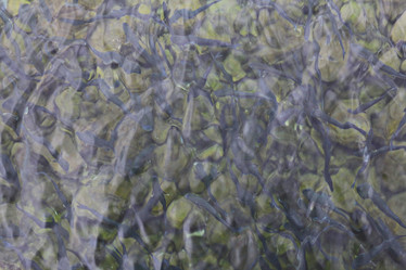 Similar image 10510251