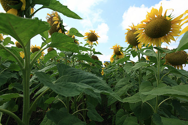 Similar image 10510252