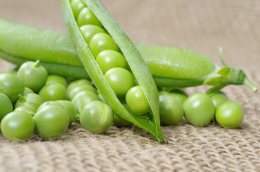 Similar image 10510266