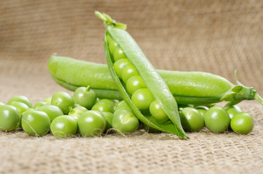 Similar image 10510267