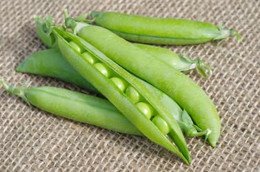 Similar image 10510268