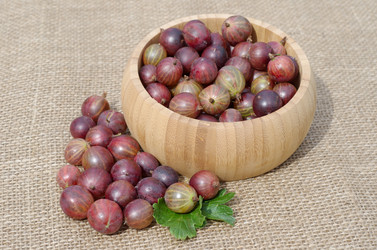 Similar image 10510269