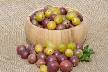 Similar image 10510270