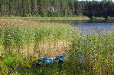 Similar image 10510275