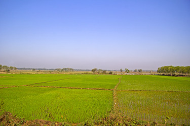 Similar image 10510282