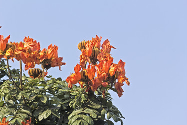 Similar image 10510296