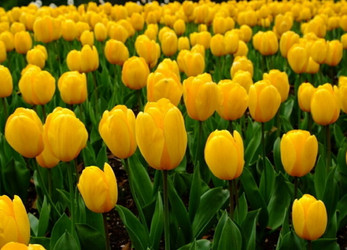 Similar image 10510298