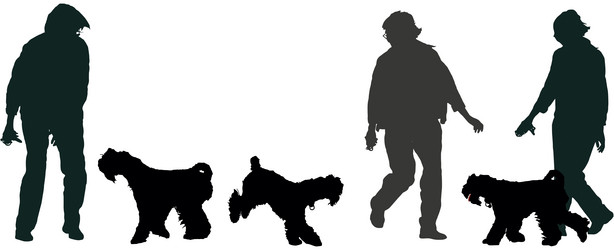 Similar image 10510341