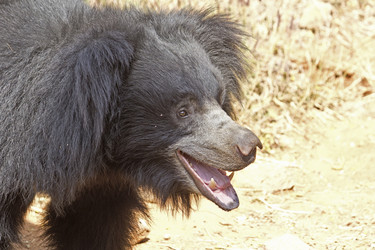 Similar image 10510379