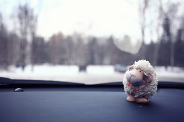 Similar image 10510388