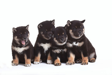 Similar image 10510394