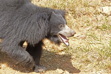 Similar image 10510401