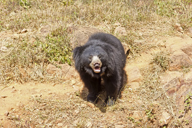 Similar image 10510402