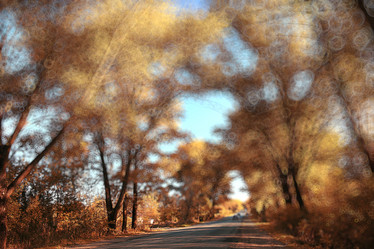 Similar image 10510422