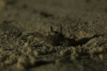 Similar image 10510428