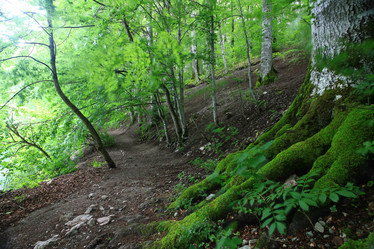 Similar image 10510435