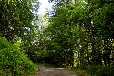 Similar image 10510437