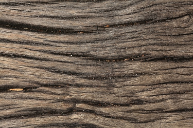 Similar image 10510454