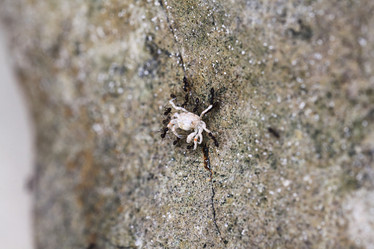 Similar image 10510477