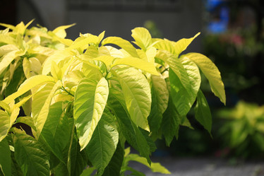 Similar image 10510489