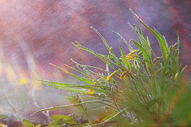 Similar image 10510494