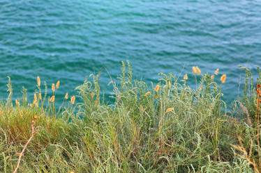 Similar image 10510533