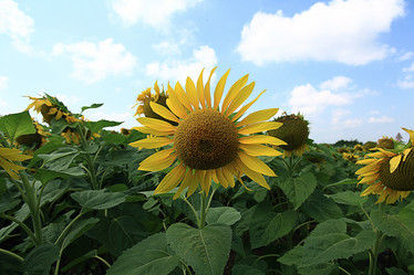 Similar image 10510535