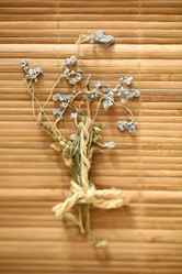 Similar image 10510536