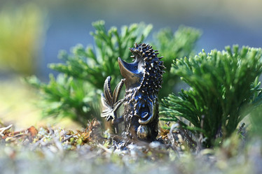 Similar image 10510537