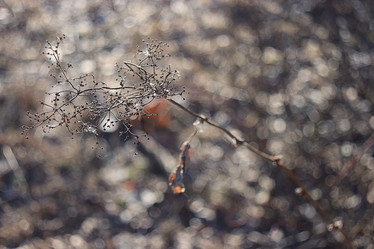 Similar image 10510545