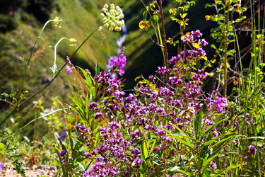 Similar image 10510637