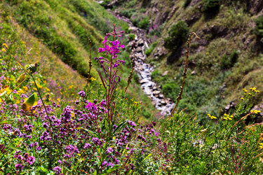 Similar image 10510639