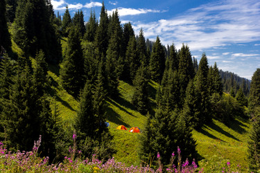 Similar image 10510651