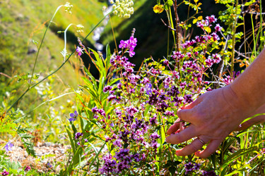 Similar image 10510653