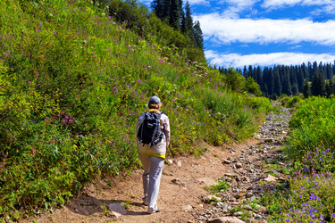 Similar image 10510655