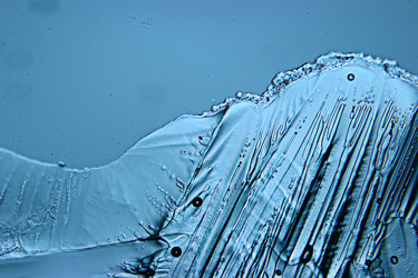 Similar image 10510685