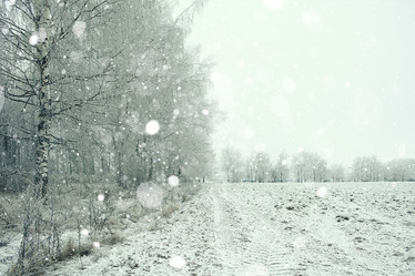 Similar image 10510706