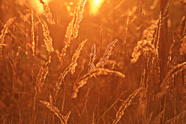 Similar image 10510943